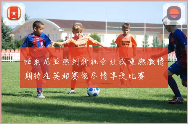 帕利尼亚热刺新机会让我重燃激情期待在英超赛场尽情享受比赛