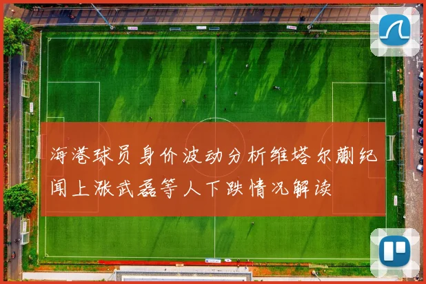 海港球员身价波动分析维塔尔蒯纪闻上涨武磊等人下跌情况解读